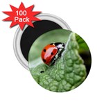 Nature 2.25  Magnet (100 pack) 