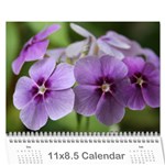 IMG_8134 Photo Calendar 11 x 8.5(18 Months)
