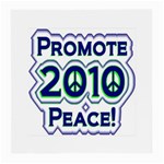 Promote Peace-2010 Glasses Cloth (Medium)