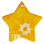 Orange Ornament (Star)