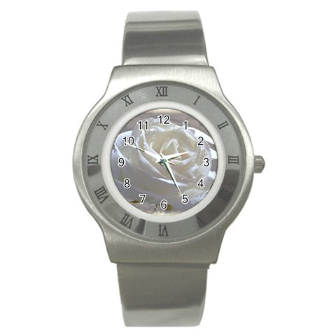 Diana Stainless Steel Watch from UrbanLoad.com Front