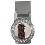 Affenpinscher Dog Money Clip (CZ)