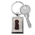 Affenpinscher Dog Key Chain (Rectangle)