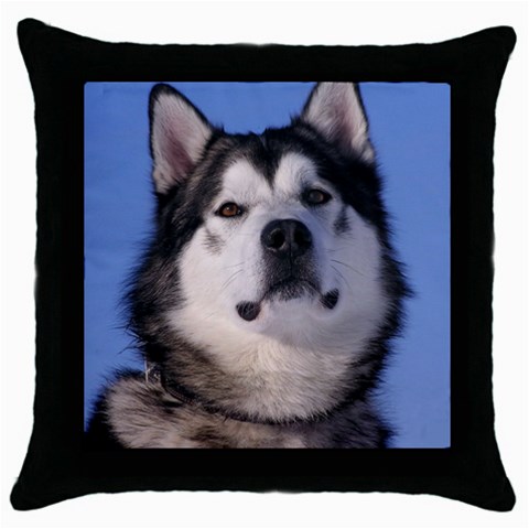 Alaskan Malamute Dog Throw Pillow Case (Black) from UrbanLoad.com Front