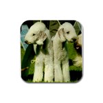 Bedlington Terrier Dog Rubber Square Coaster (4 pack)