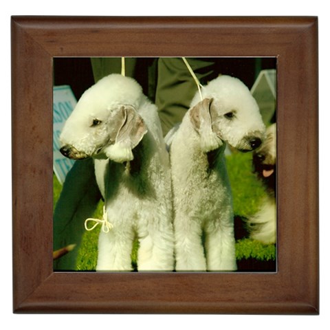 Bedlington Terrier Dog Framed Tile from UrbanLoad.com Front