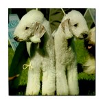 Bedlington Terrier Dog Tile Coaster