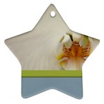 Wedding Orchid Ornament (Star)