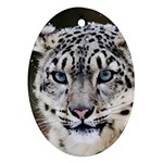 Snow Leopard Ornament (Oval)