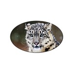 Snow Leopard Sticker Oval (10 pack)