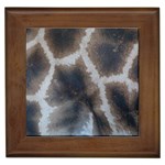 Giraffe Skin Framed Tile