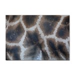 Giraffe Skin Sticker A4 (10 pack)