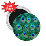 Peacock Feather 1 2.25  Magnet (100 pack) 