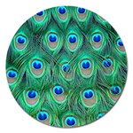 Peacock Feather 1 Magnet 5  (Round)