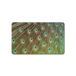 Peacock Feathers 2 Magnet (Name Card)