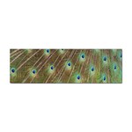 Peacock Feathers 2 Sticker Bumper (10 pack)