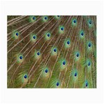 Peacock Feathers 2 Glasses Cloth (Small, Two Sides)