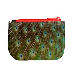 Peacock Feathers 2 Mini Coin Purse from UrbanLoad.com Back
