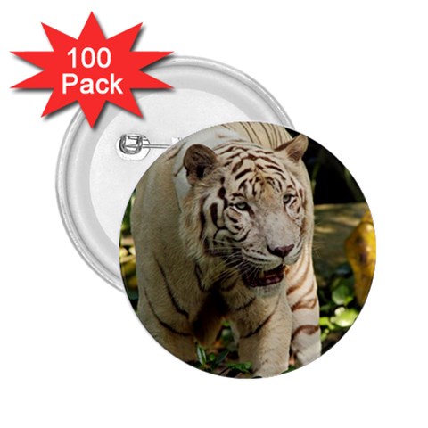 Tiger 2 2.25  Button (100 pack) from UrbanLoad.com Front