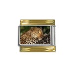 Male Leopard Gold Trim Italian Charm (9mm)