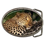 Male Leopard Belt Buckle