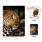 Male Leopard Playing Cards Single Design