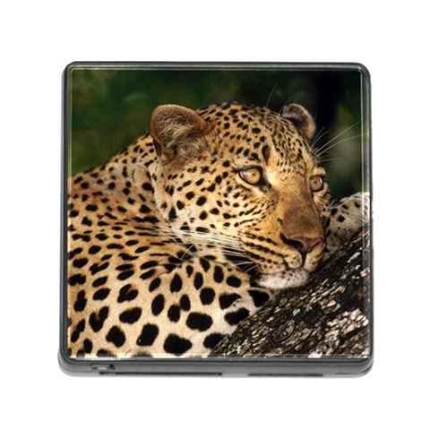 Male Leopard Memory Card Reader with Storage (Square) from UrbanLoad.com Front