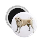BW Yellow Labrador Retriever Dog Gifts 2.25  Magnet