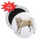 BW Yellow Labrador Retriever Dog Gifts 2.25  Magnet (10 pack)