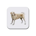 BW Yellow Labrador Retriever Dog Gifts Rubber Square Coaster (4 pack)