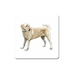 BW Yellow Labrador Retriever Dog Gifts Magnet (Square)