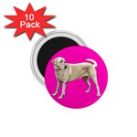 BP Yellow Labrador Retriever Dog Gifts 1.75  Magnet (10 pack) 