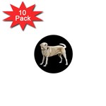 BB Yellow Labrador Retriever Dog Gifts 1  Mini Magnet (10 pack) 