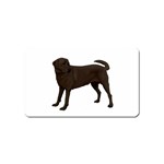 BW Chocolate Labrador Retriever Dog Gifts Magnet (Name Card)