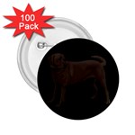 BB Chocolate Labrador Retriever Dog Gifts 2.25  Button (100 pack)