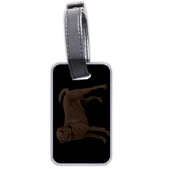 BB Chocolate Labrador Retriever Dog Gifts Luggage Tag (two sides) from UrbanLoad.com Back