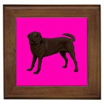Chocolate Labrador Retriever Dog Gifts BP Framed Tile