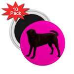 Chocolate Labrador Retriever Dog Gifts BP 2.25  Magnet (10 pack)