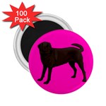 Chocolate Labrador Retriever Dog Gifts BP 2.25  Magnet (100 pack) 