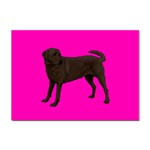 Chocolate Labrador Retriever Dog Gifts BP Sticker A4 (100 pack)