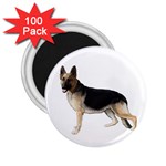 German Shepherd Alsatian Dog Gifts BW 2.25  Magnet (100 pack) 