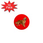 Golden Retriever Dog Gifts BR 1  Mini Magnet (10 pack) 