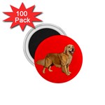 Golden Retriever Dog Gifts BR 1.75  Magnet (100 pack) 