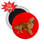 Golden Retriever Dog Gifts BR 2.25  Magnet (100 pack) 