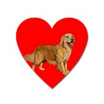 Golden Retriever Dog Gifts BR Magnet (Heart)