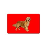 Golden Retriever Dog Gifts BR Magnet (Name Card)