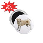 Yellow Labrador Retriever 1.75  Magnet (100 pack) 
