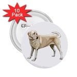 Yellow Labrador Retriever 2.25  Button (10 pack)