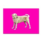 Yellow Labrador Retriever Sticker A4 (10 pack)
