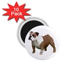 British Bulldog Gifts BW 1.75  Magnet (10 pack) 